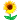 :flower: